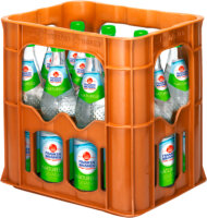 Frankenbrunnen Naturell 12 x 0,7L