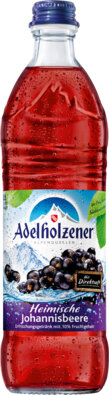 Adelholzener Heimische Johannisbeere 12 x 0,5L
