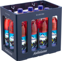 Adelholzener Brombeer Holunder 12 x 0,5L PET