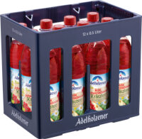 Adelholzener Johannisbeere Kräuter 12 x 0,5L PET