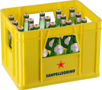 Acqua Panna San Pellegrino 20 x 0,5 L