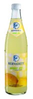 Bernadett Sport-Fit 20 x 0,5L